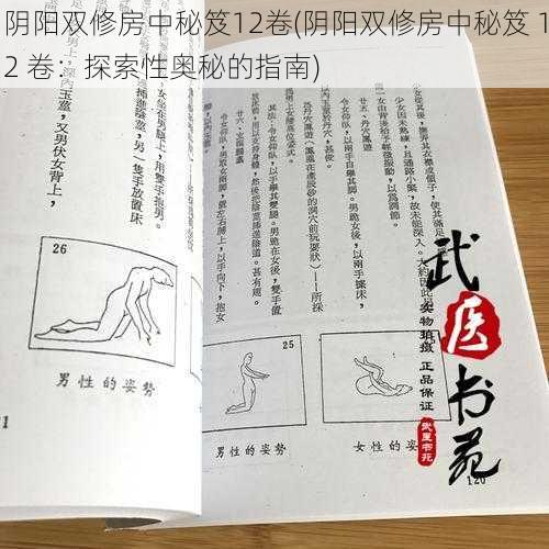 阴阳双修房中秘笈12卷(阴阳双修房中秘笈 12 卷：探索性奥秘的指南)