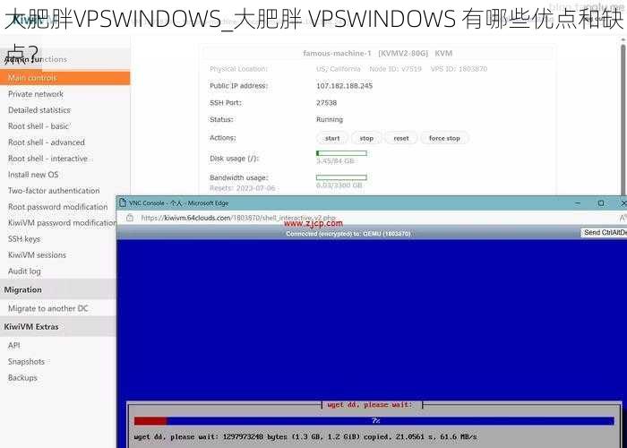 大肥胖VPSWINDOWS_大肥胖 VPSWINDOWS 有哪些优点和缺点？