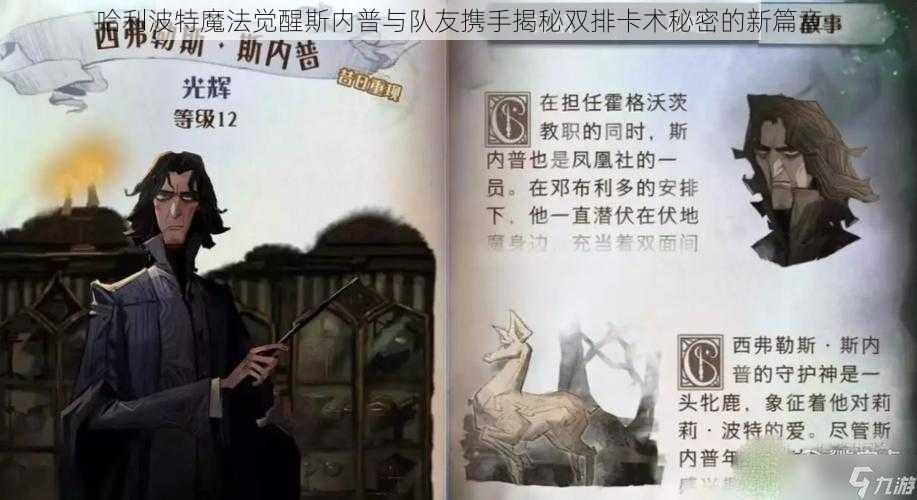 哈利波特魔法觉醒斯内普与队友携手揭秘双排卡术秘密的新篇章