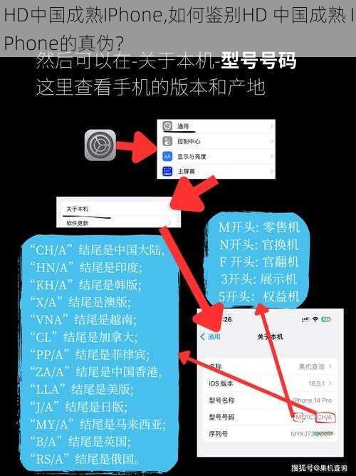 HD中国成熟IPhone,如何鉴别HD 中国成熟 IPhone的真伪？