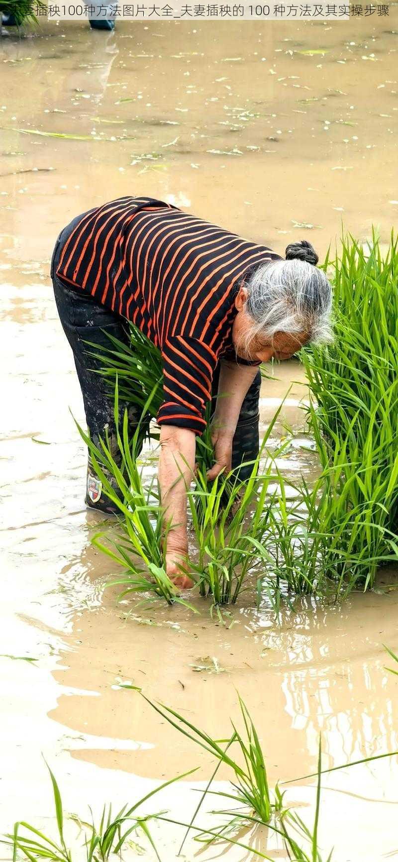 夫妻插秧100种方法图片大全_夫妻插秧的 100 种方法及其实操步骤