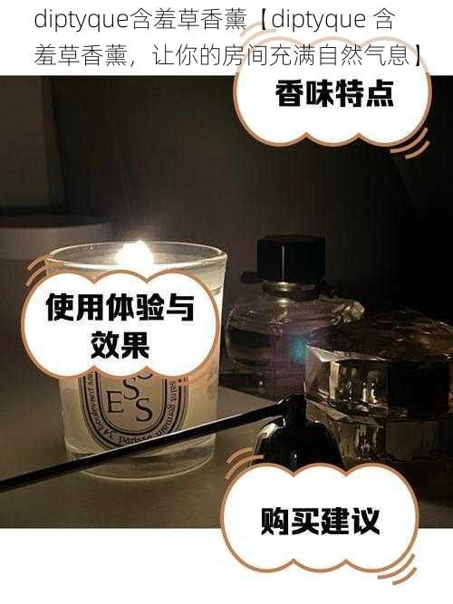 diptyque含羞草香薰【diptyque 含羞草香薰，让你的房间充满自然气息】