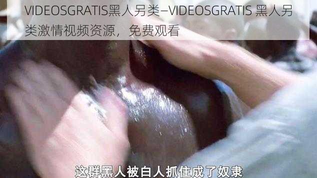 VIDEOSGRATIS黑人另类—VIDEOSGRATIS 黑人另类激情视频资源，免费观看