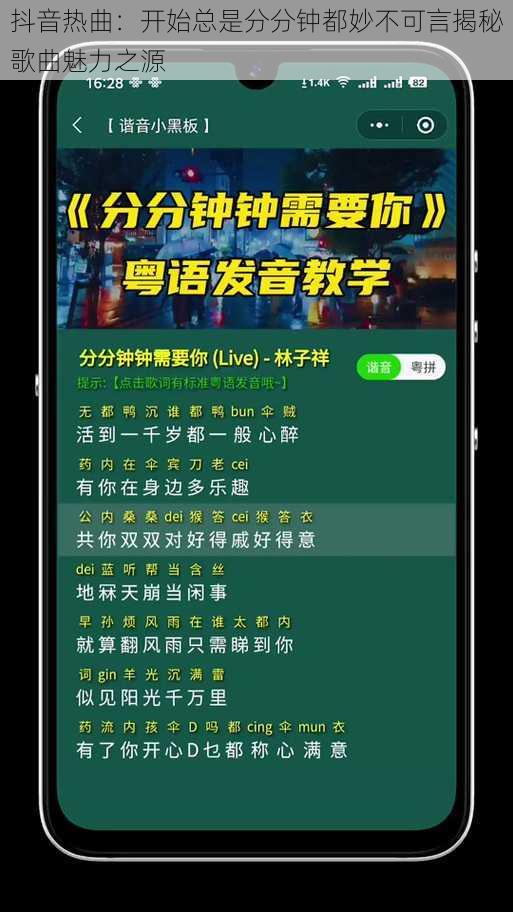 抖音热曲：开始总是分分钟都妙不可言揭秘歌曲魅力之源