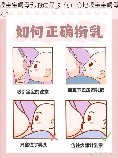 喂宝宝喝母乳的过程_如何正确地喂宝宝喝母乳？