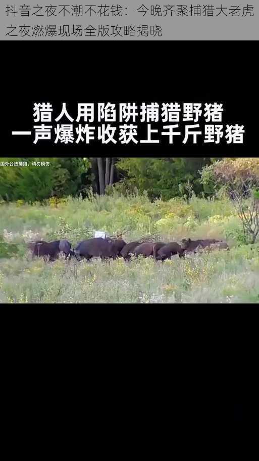 抖音之夜不潮不花钱：今晚齐聚捕猎大老虎之夜燃爆现场全版攻略揭晓