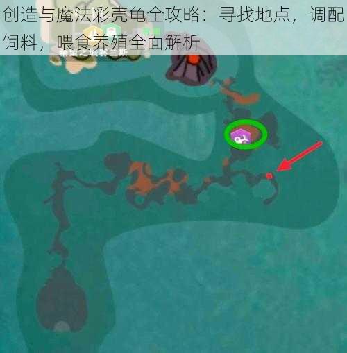 创造与魔法彩壳龟全攻略：寻找地点，调配饲料，喂食养殖全面解析