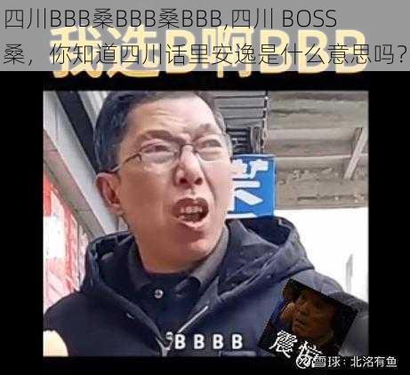 四川BBB桑BBB桑BBB,四川 BOSS 桑，你知道四川话里安逸是什么意思吗？