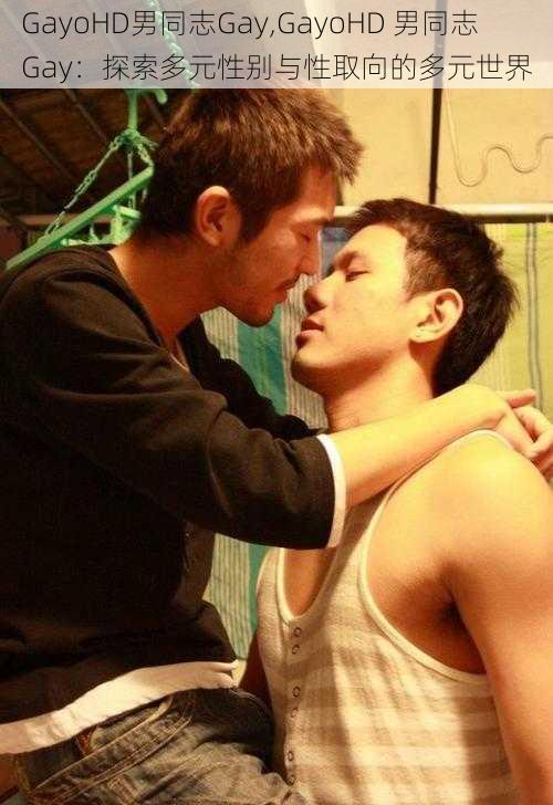 GayoHD男同志Gay,GayoHD 男同志 Gay：探索多元性别与性取向的多元世界