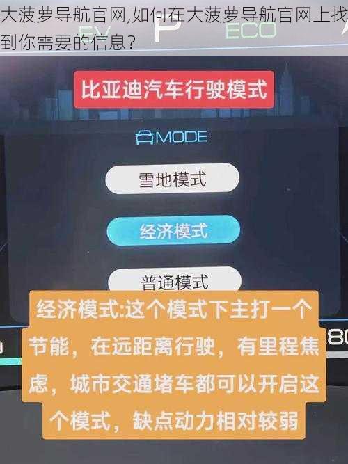 大菠萝导航官网,如何在大菠萝导航官网上找到你需要的信息？