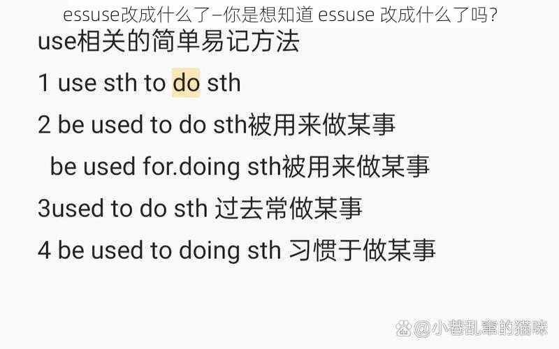 essuse改成什么了—你是想知道 essuse 改成什么了吗？