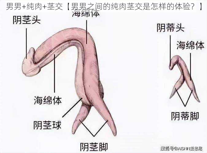 男男+纯肉+茎交【男男之间的纯肉茎交是怎样的体验？】