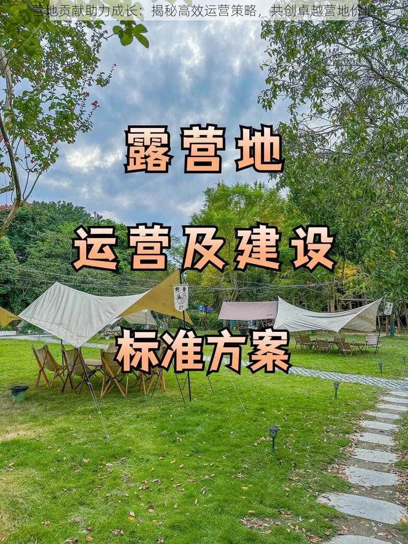 营地贡献助力成长：揭秘高效运营策略，共创卓越营地价值