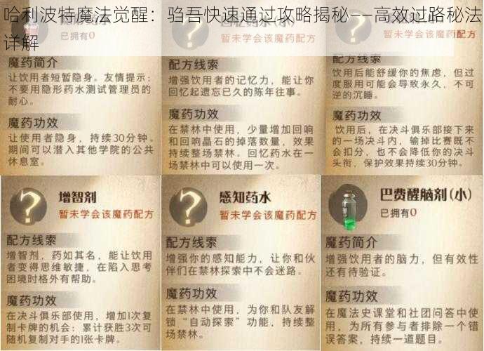 哈利波特魔法觉醒：驺吾快速通过攻略揭秘——高效过路秘法详解