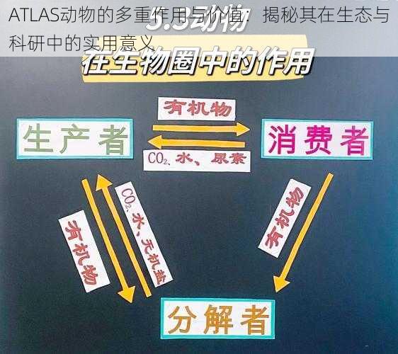 ATLAS动物的多重作用与价值：揭秘其在生态与科研中的实用意义