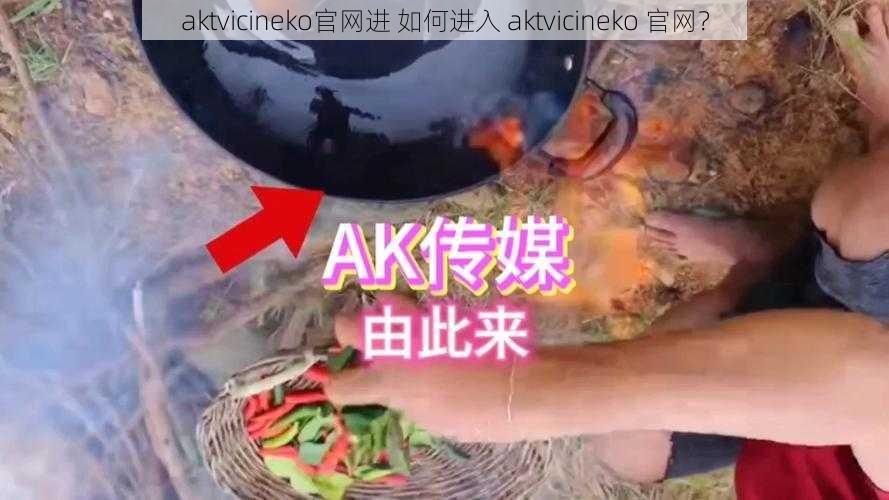 aktvicineko官网进 如何进入 aktvicineko 官网？