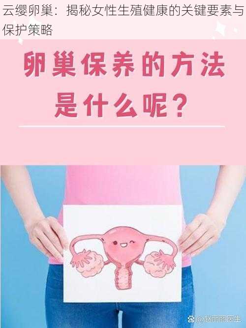 云缨卵巢：揭秘女性生殖健康的关键要素与保护策略