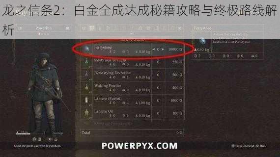 龙之信条2：白金全成达成秘籍攻略与终极路线解析