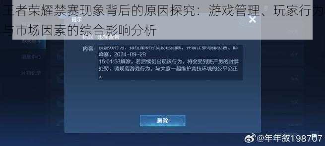 王者荣耀禁赛现象背后的原因探究：游戏管理、玩家行为与市场因素的综合影响分析