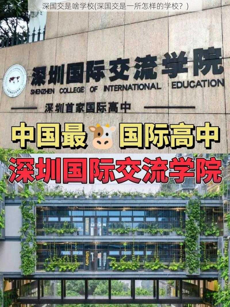 深国交是啥学校(深国交是一所怎样的学校？)