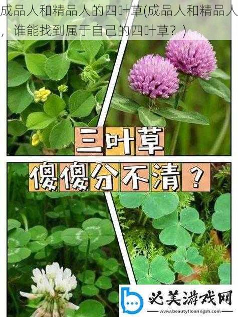 成品人和精品人的四叶草(成品人和精品人，谁能找到属于自己的四叶草？)