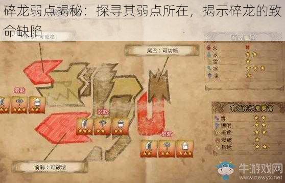 碎龙弱点揭秘：探寻其弱点所在，揭示碎龙的致命缺陷