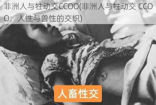 非洲人与牲动交CCOO(非洲人与牲动交 CCOO：人性与兽性的交织)