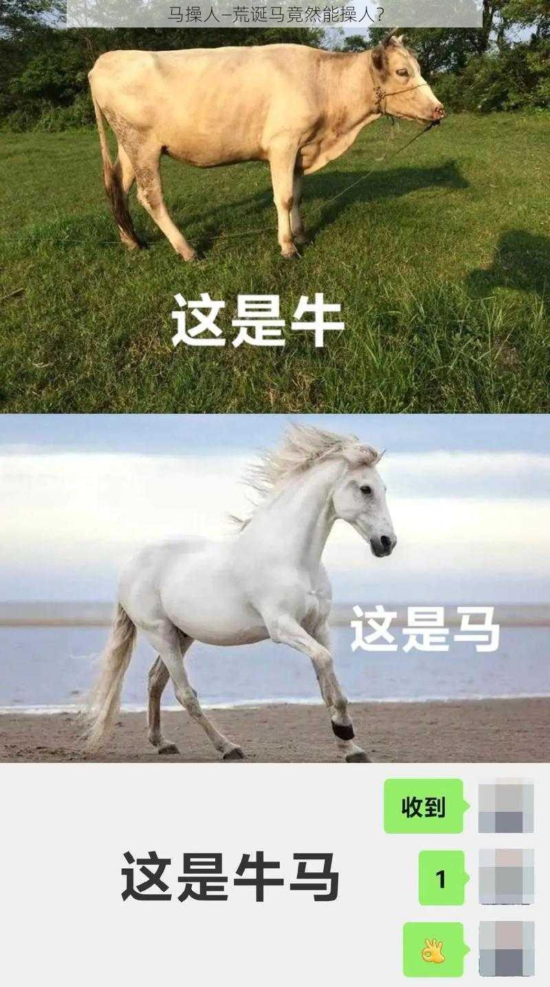 马操人—荒诞马竟然能操人？