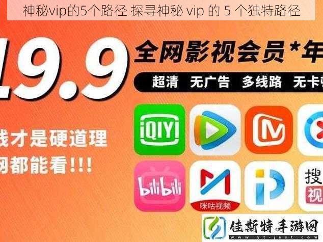 神秘vip的5个路径 探寻神秘 vip 的 5 个独特路径