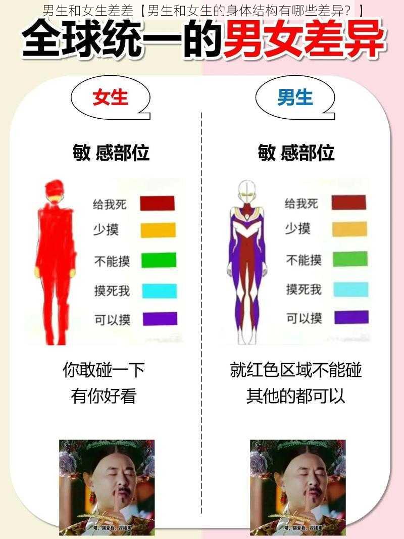 男生和女生差差【男生和女生的身体结构有哪些差异？】