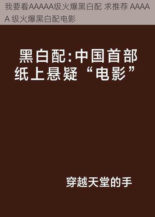 我要看AAAAA级火爆黑白配 求推荐 AAAAA 级火爆黑白配电影