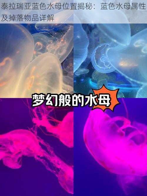 泰拉瑞亚蓝色水母位置揭秘：蓝色水母属性及掉落物品详解