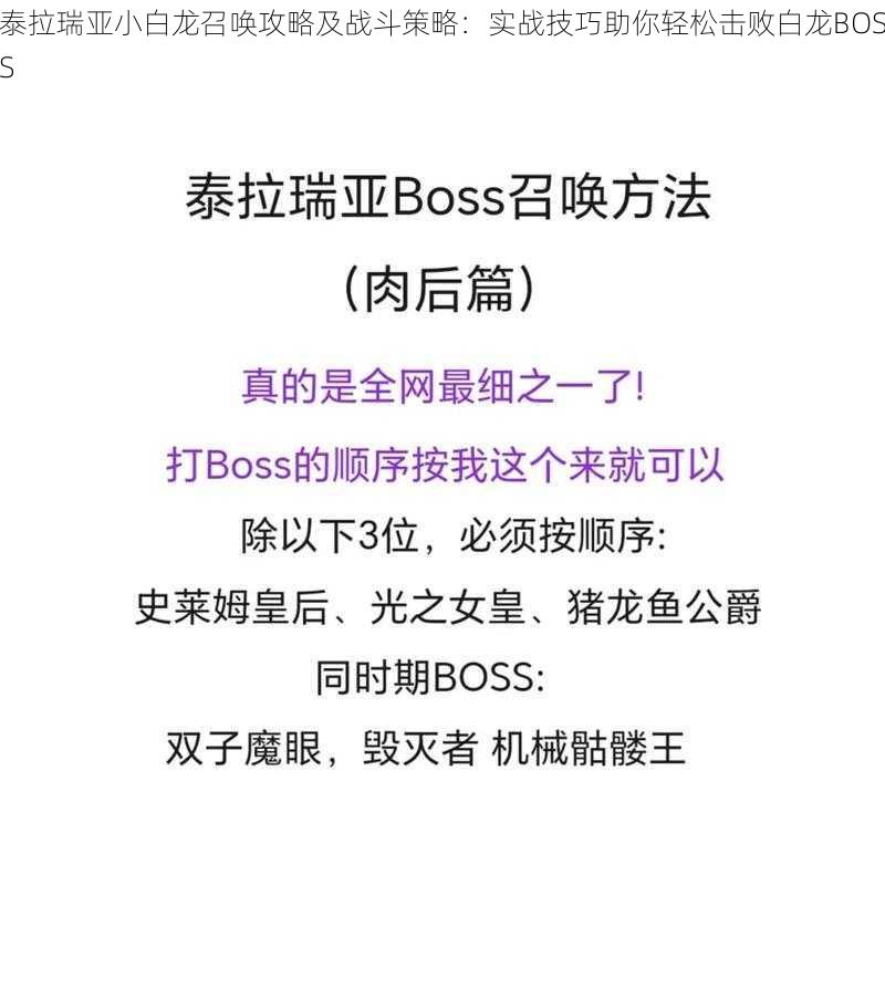 泰拉瑞亚小白龙召唤攻略及战斗策略：实战技巧助你轻松击败白龙BOSS