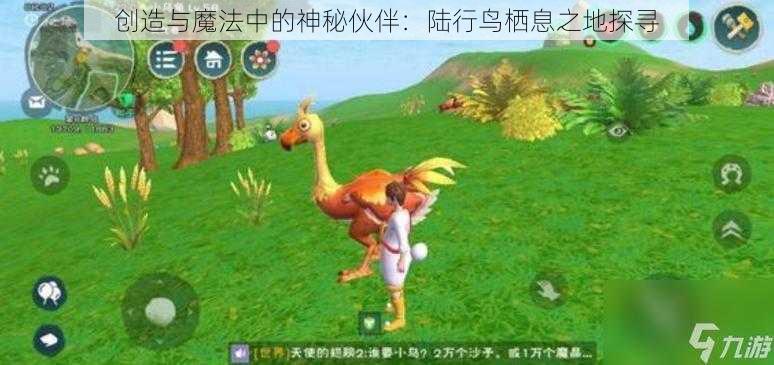 创造与魔法中的神秘伙伴：陆行鸟栖息之地探寻