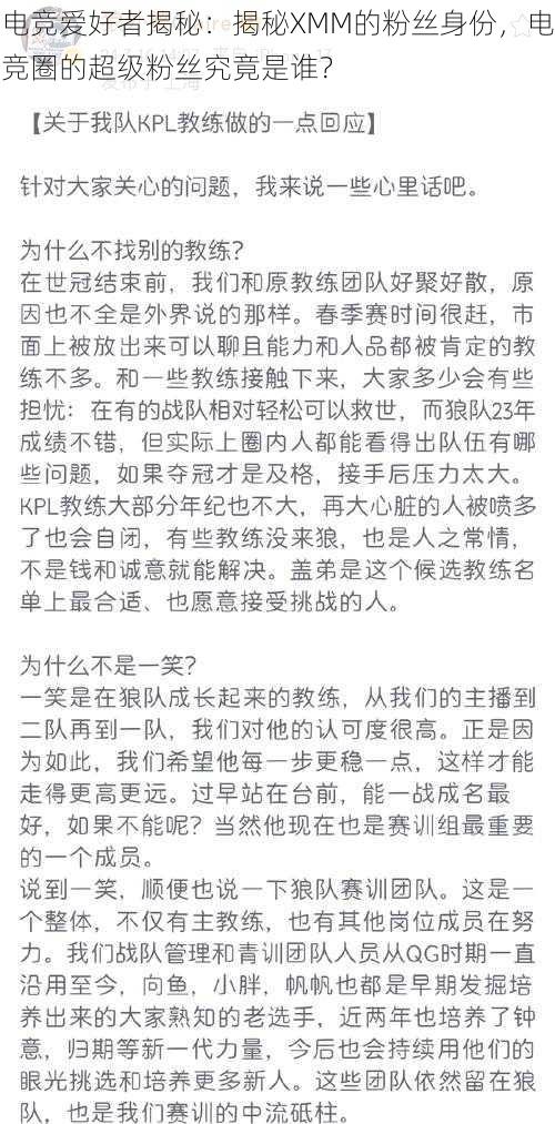 电竞爱好者揭秘：揭秘XMM的粉丝身份，电竞圈的超级粉丝究竟是谁？