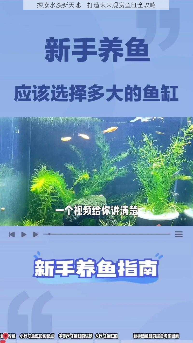 探索水族新天地：打造未来观赏鱼缸全攻略