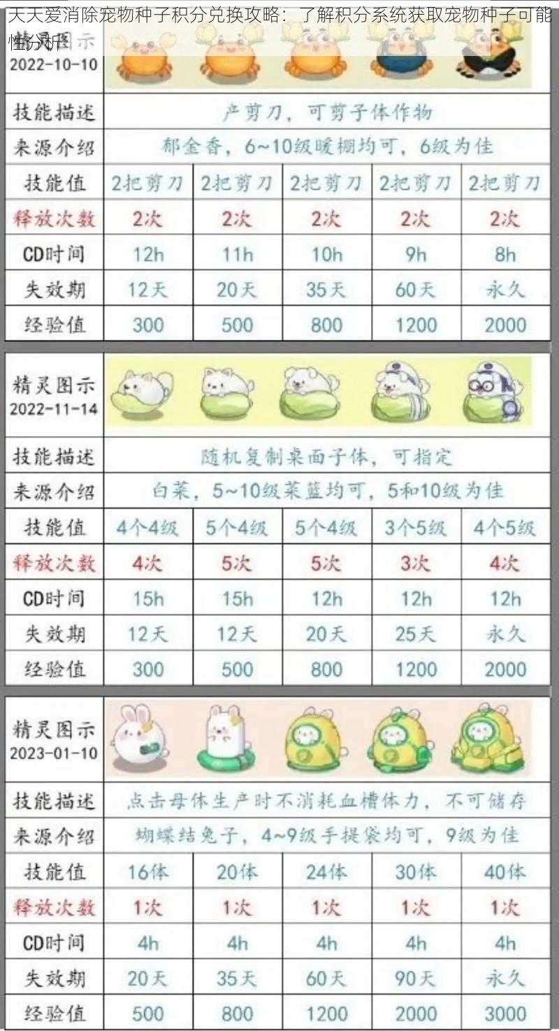 天天爱消除宠物种子积分兑换攻略：了解积分系统获取宠物种子可能性分析