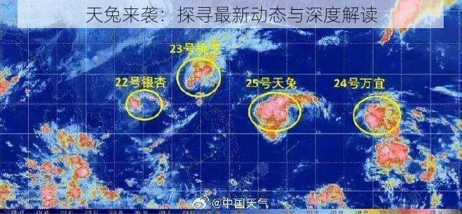 天兔来袭：探寻最新动态与深度解读